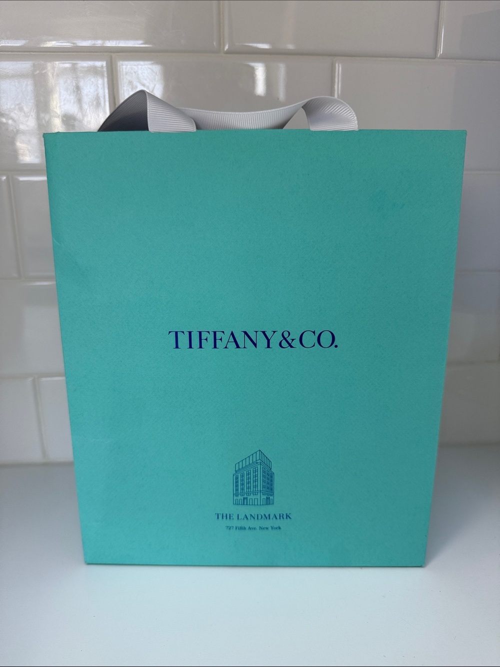 Tiffany & Co. Tiffany Blue Small Gift Bag Shopping Storage Bag